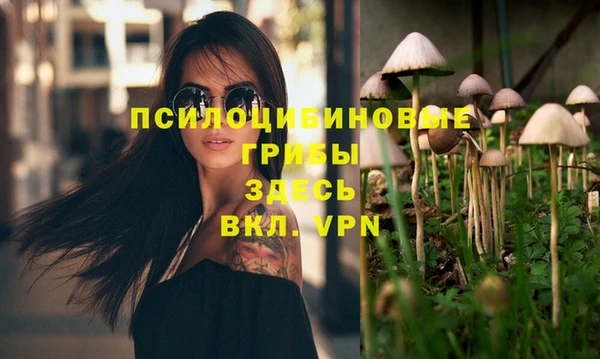 гидропоника Аркадак
