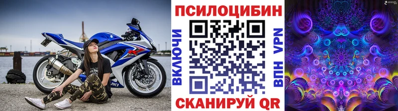Галлюциногенные грибы прущие грибы  Сычёвка 